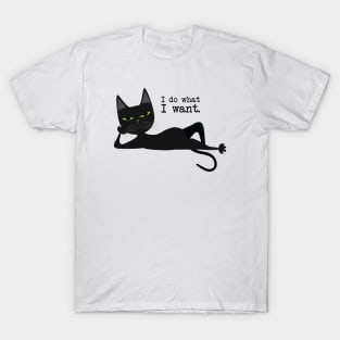 i do what i want T-Shirt